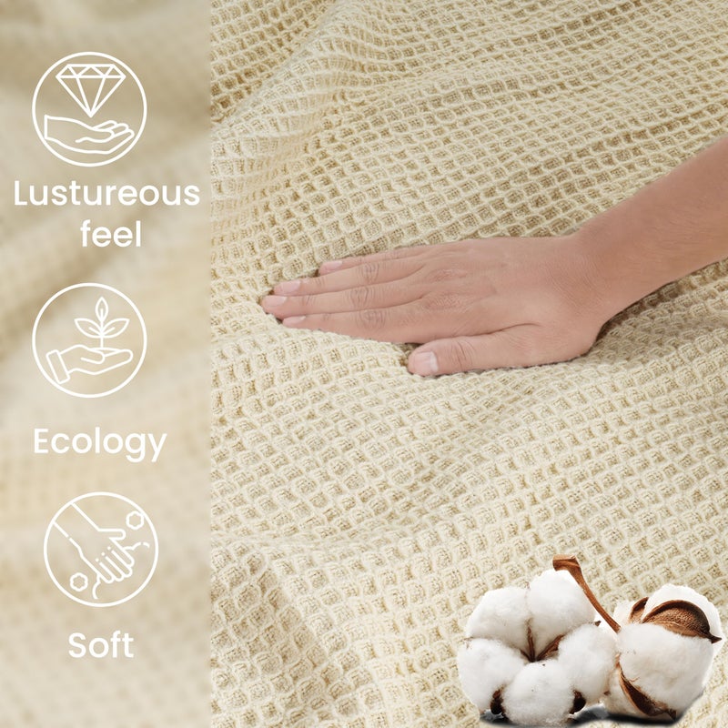 Tex Trend 100% Cotton Blanket â€“ Soft and Breathable Twin XL Ivory Waffle Blanket â€“ for Christmas & All Season Comfort â€“ Suitable for Bed Layering, Sofa, Couch - Ivory (60â€x90â€) - Image 4